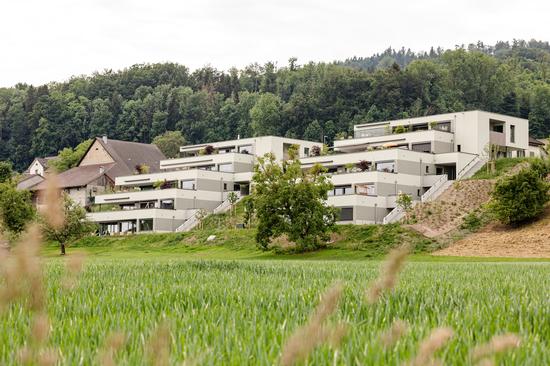 Boniswil